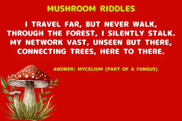 Best Mushroom Riddles with Answers