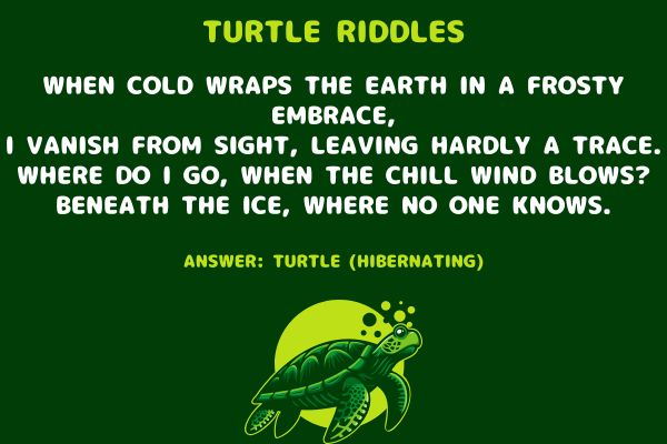Best Turtle Riddles with Answers
