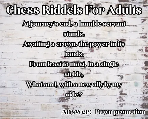 Chess Riddels For Adults