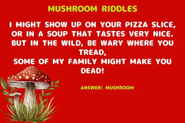 Funny Mushroom Riddles