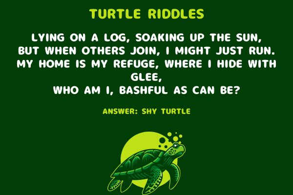 Funny Turtle Riddles
