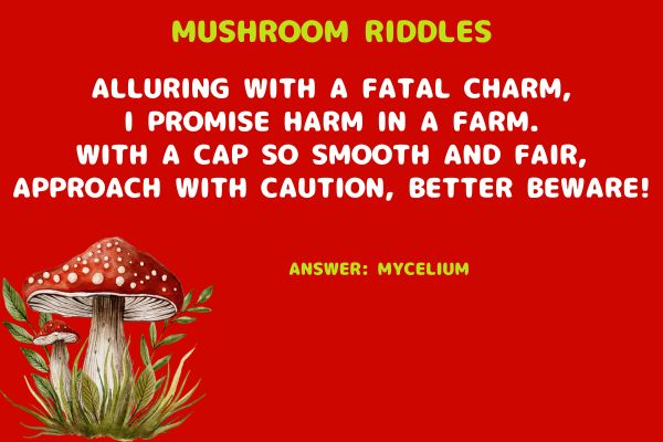 Mushroom Riddles for Adults