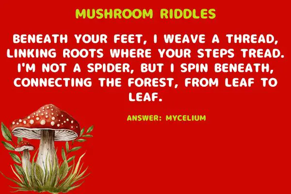 Mushroom Riddles for Kids