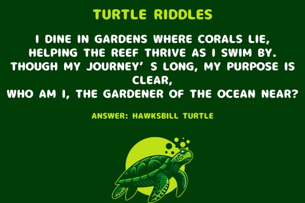 Turtle Riddles for Adults