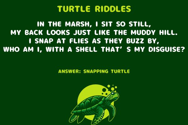 Turtle Riddles for Kids